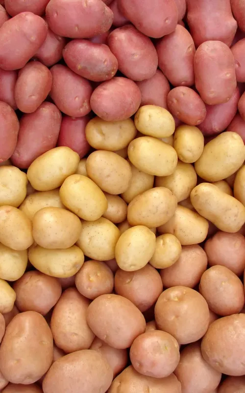 Las patatas