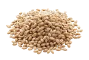Cebada