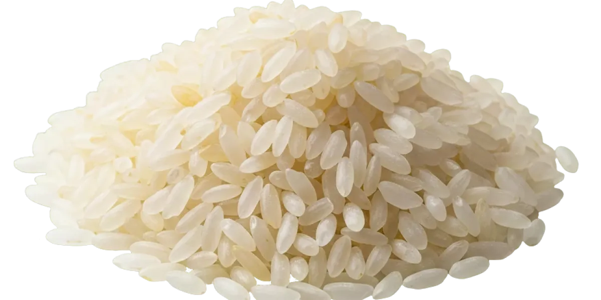 Arroz :: Historia y origen