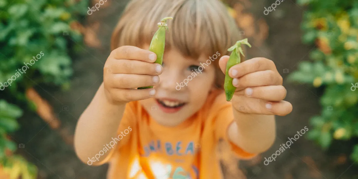 Niños y legumbres: cómo lograr que las coman :: Introducción