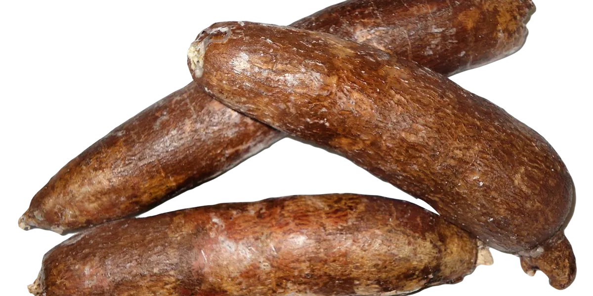 Yuca :: Historia e orixe