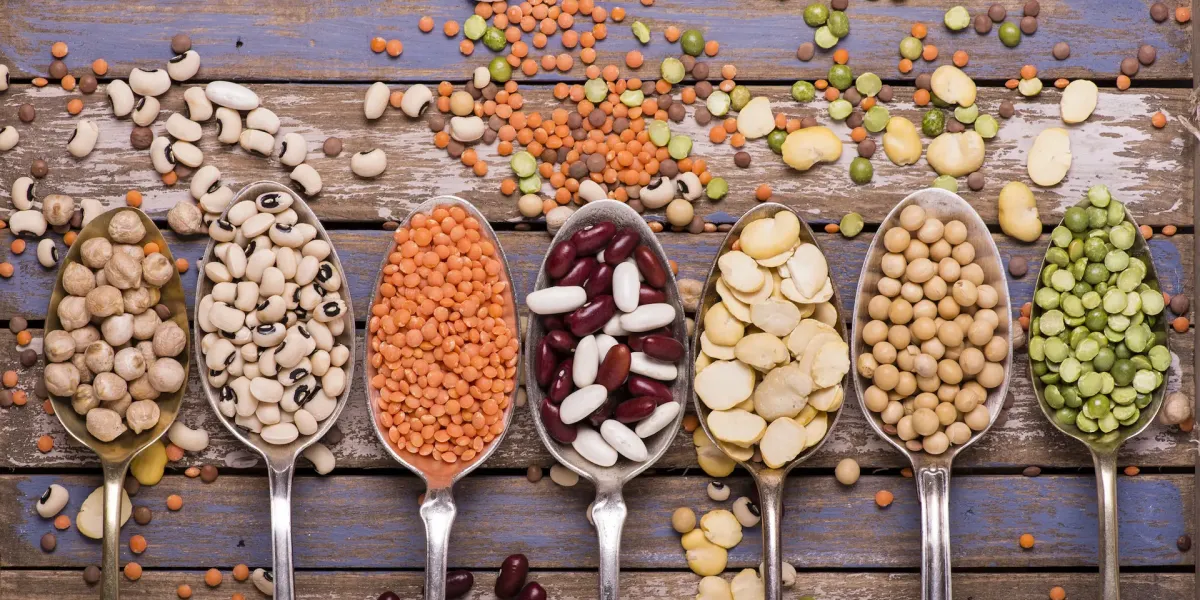 Conozcamos las legumbres o leguminosas :: Consumo