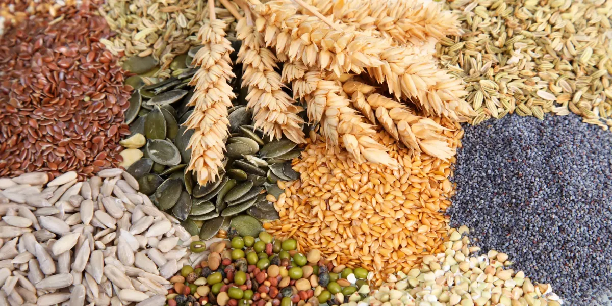 Conozcamos los cereales y sus derivados :: Consejos prácticos para su conservación