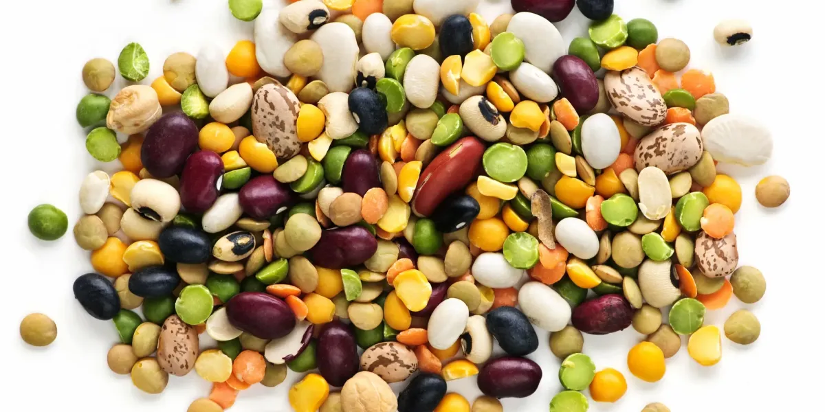 El valor nutritivo y salud :: Valor energético