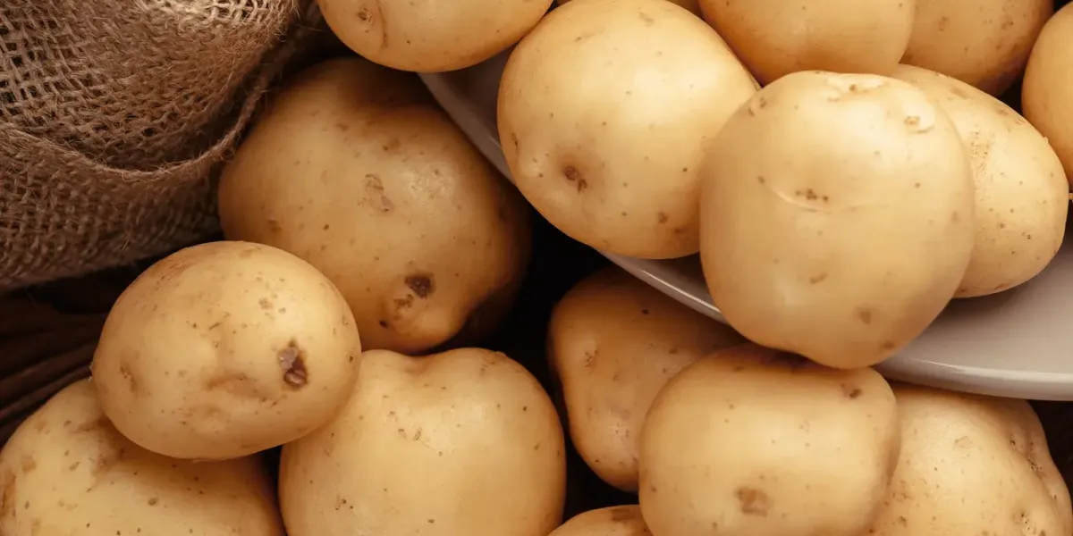El valor nutritivo y salud :: Valores
