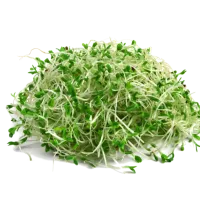 Valor nutritivo y salud