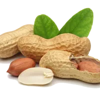 Valor nutritivo y salud