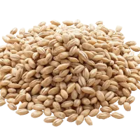 Valor nutritivo e saúde