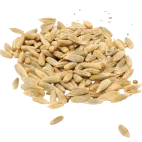 Valor nutritivo y salud