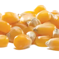 Variedades